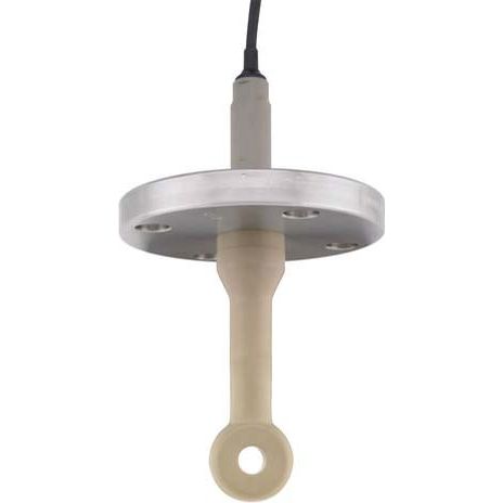 Endress+Hauser - Leitfähigkeitssensor CLS50D-AA1B21 DN50,Peek, 3m Kabel