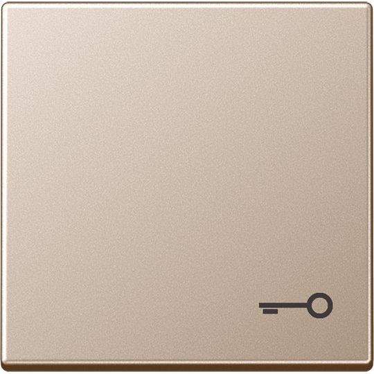 Jung - Abdeckung/Bedienelement für Installationsschalterprogramme Wippe Symbol TÜR champ A 590 T CH für Taster