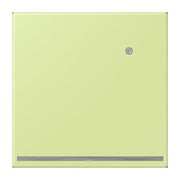 Jung - Orientierungsleuchte LED-Orientierungslicht LC 1539-O LNW 222