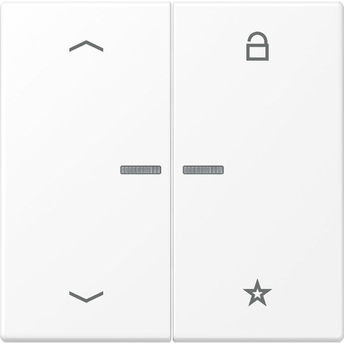 Jung - Bedienelement intelligent eNet Funk-Steuertaste FM LS 1701 P WWM schneeweiß matt − 1 Stück