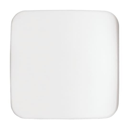 Busch-Jaeger - Zentralelement Klinikinstallation Zentralscheibe aws 1790-580-214 neutral  − 1 Stück
