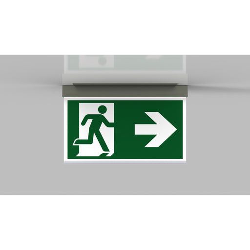 RP-Technik - Sicherheitsleuchte LED-Rettungszeichenleuchte AXC401SC-E EB 1h, SC, eds-opt