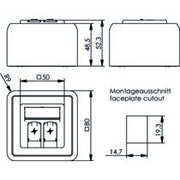 Telegärtner - Kommunikationsanschlussdose Kupfer Modulaufnahme 100021396 80x80, 2-fach AP