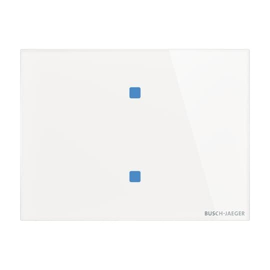 Busch-Jaeger - Bussystem-Tastsensor Touch-Bedienelement TB/U2.8.11-CG 2-fach