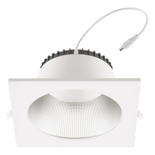 EVN Lichttechnik - Downlight/Strahler/Flutlicht LED-Downlight mit Netzteil ED54354125 DALI