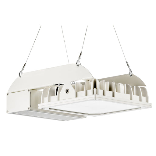 Pracht - Hallen-Reflektorleuchte LED-Strahler QUADRONIUS #86790121 4000K 110°