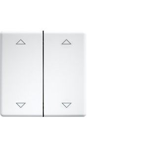 Eltako - Abdeckung/Bedienelement für Installationsschalterprogramme Doppelwippe lasergraviert DW-FT55-rw+2P f.55x55mm rws