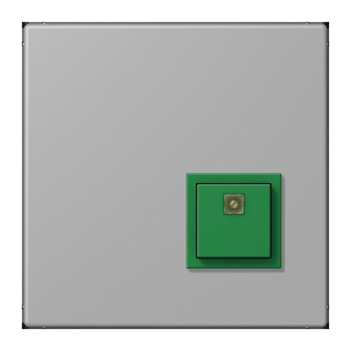 Jung - Behindertenelement für Installationsschalterprogramme Notrufsystem Abstelltaster NRS LC 0834 AT 204 gris moyen