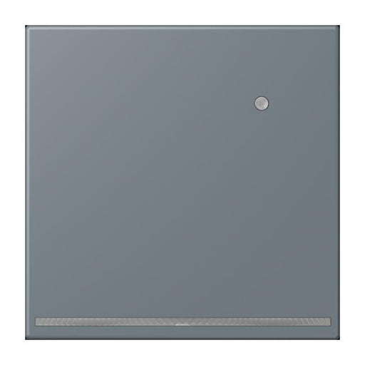 Jung - Orientierungsleuchte LED-Orientierungslicht LC 1539-O LNW 251 gris 59 (4320H)