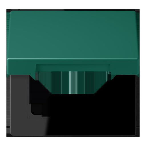 Jung - Abdeckrahmen Klappdeckel m. Stellfeder LC 990 BFKL 216 vert anglais