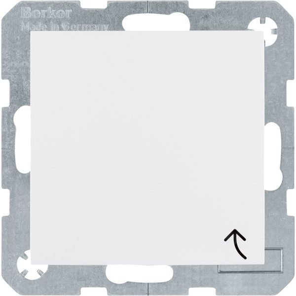 Berker - Steckdose SCHUKO-Steckdose pws/gl 47518989 mit Klappdecke