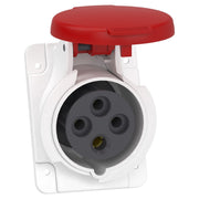 Schneider Electric - CEE-Anbausteckdose (IEC 60309) Industriesteckdose PKY16F434 gewinkelt, 16A, 3p+E