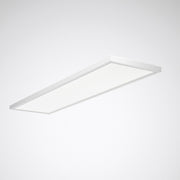 Trilux - Decken-/Wandleuchte LED-Anbauleuchte ArimoFit G2 #8165151 830, DALI, weiß