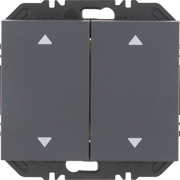 Berker - Bussystem-Hand-/Wandsender Modul Wippe 2f 24127206 Aufdr. K.1 anthr