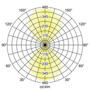 Brumberg Leuchten - Decken-/Wandleuchte LED-Wandleuchte 10033103 230V/IP54 graphit