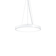 Zumtobel Group - Pendelleuchte LED - Rundleuchte ONDA2 P LRO#42187067 2700 - 6500K