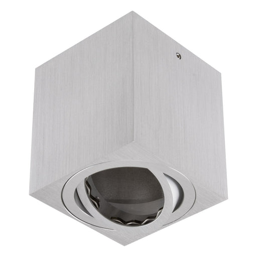EVN Lichttechnik - Downlight/Strahler/Flutlicht Deckenanbauleuchte 8149014 GU10 qua.alu schwenk