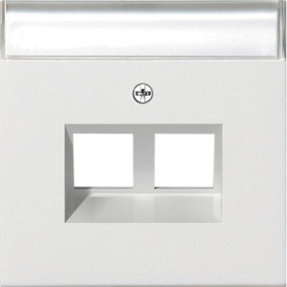 Gira - Einsatz/Abdeckung für Kommunikationstechnik Abdeckung Modular Jack 2640112 30Grd 2fach rws