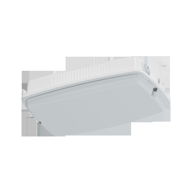 Schuch Licht - Decken-/Wandleuchte LED-Notleuchte 3611 L10 IP65, SKI