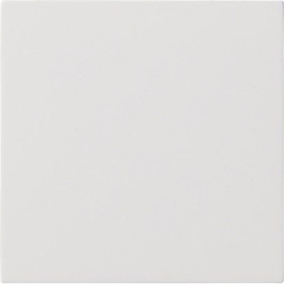 Gira - Bedienelement intelligent Bedienaufsatz rws 5360112 Flächenschalter