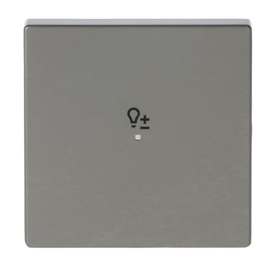 Busch-Jaeger - Bussystem-Tastwippe Wippe eds 6234-10-866 pur Edelstahl