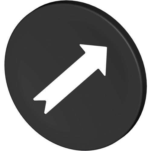 Stahl - Bezeichnungsschild für Befehlsgeräte Tastenschild 8602/3 227778 schwarz Pfeil 45