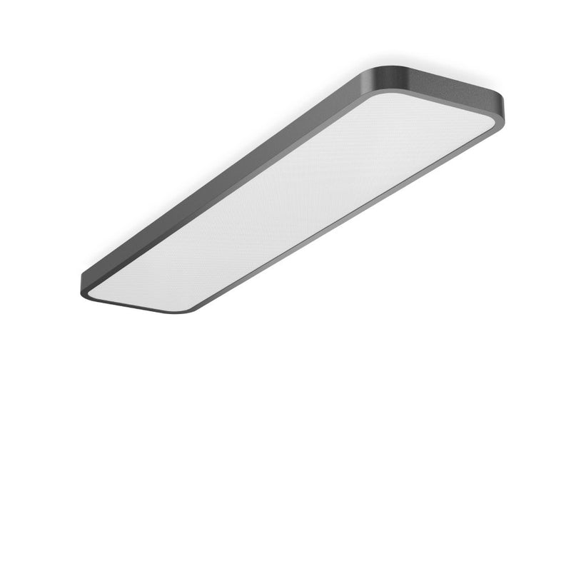 RZB - Decken-/Wandleuchte LED-Wand-u.Deckenleuchte 312716.0031.76 830, DALI, anthrazit
