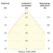 EVN Lichttechnik - Decken-/Wandleuchte LED-Deckeneuchte DSM54180125 CCT Switch, ML