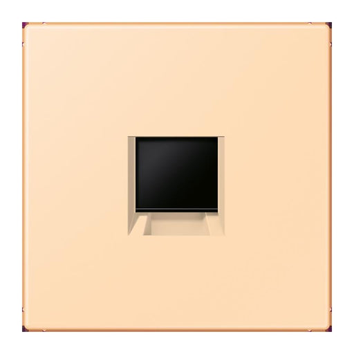 Jung - Einsatz/Abdeckung für Kommunikationstechnik Abdeckung (gerastet) LC 1969-1 WE 223 ocre (32060)