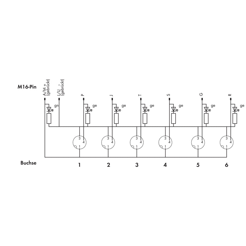 WAGO - Passiver Sensor-/Aktor-Verteiler (ohne Leitung) M8-Sensor-/ Aktorbox 757-363 6-fach,3-polig