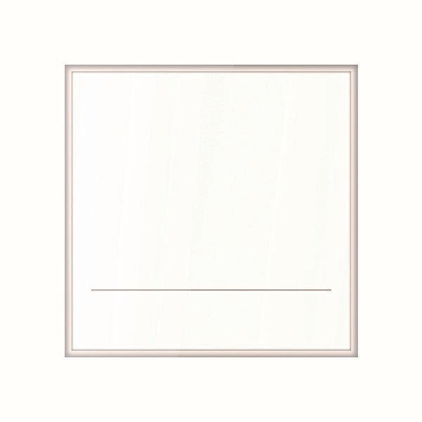 TCS Tür Control - Zusatzgerät für Türkommunikation Namensfeldmodul E38168 SeriePES PRO 90x90mm