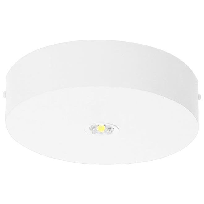 Fischer - Sicherheitsleuchte LED-Sicherheitsleuchte BRD815M.V2 EB 8h