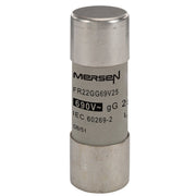 Mersen - Zylindrische Sicherung Sicherungseinsatz zylindr. FR22GG69V25 gG 22x58 25A − 10 Stück