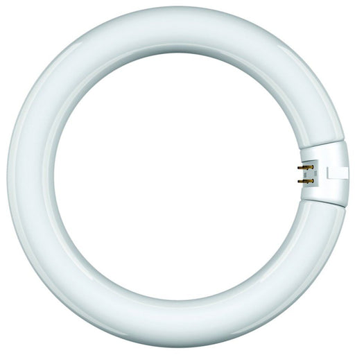 Scharnberger+Hasenbein - UV-Lampe Leuchtstofflampe Ringf. 44100 31x203mm G10q 22W BL