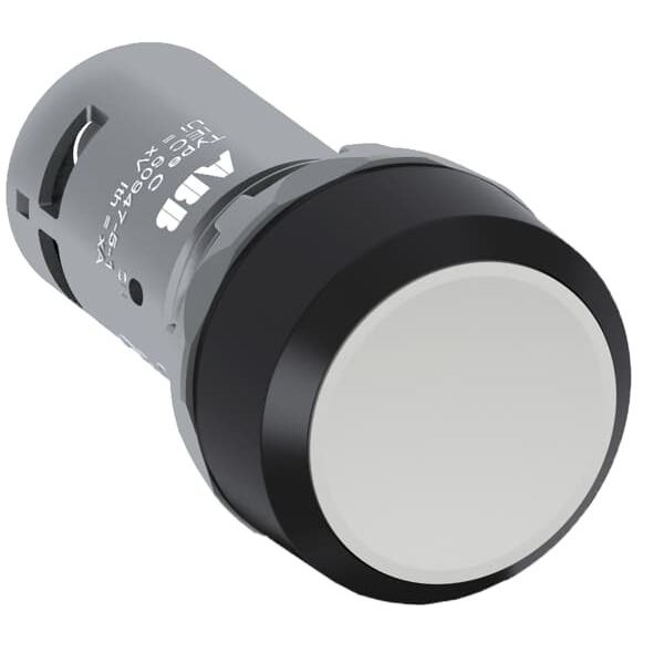 ABB Stotz S&J - Drucktaster, Komplettgerät Drucktaster CP1-10U-20 grau, 2 Schließer