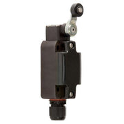 Stahl - Einzelpositionsschalter Positionsschalter 8070/2-2-D-U60
