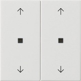Gira - Abdeckung/Bedienelement für Installationsschalterprogramme Wippe 2-fach 538603 Reinweiß