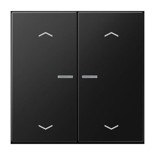 Jung - Bedienelement intelligent Taster 2fach BT LS 17102 P SWM JUNG HOME