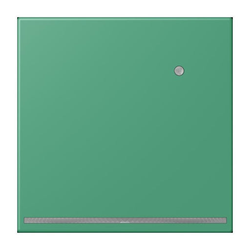 Jung - Orientierungsleuchte LED-Orientierungslicht LC 1539-O LNW 250 vert 59 (4320G)