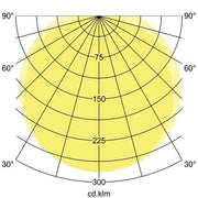Brumberg Leuchten - Decken-/Wandleuchte LED-Feuchtraumleuchte 78015114 1490mm 4000K