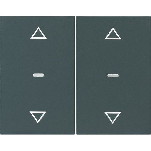 Berker - Abdeckung/Bedienelement für Installationsschalterprogramme Abdeckung Tastsensor-Modul 80961375 2-fach anthrazit