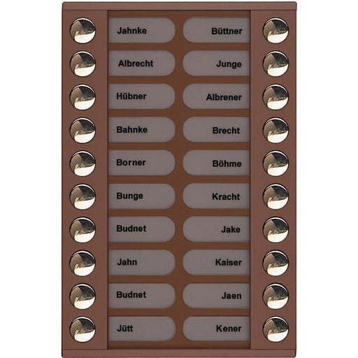 TCS Tür Control - Montageelement für Türstation Audioaußenstation 2-reihig PET20-EB/04 Erw.20 Tasten bronze