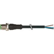 Murrelektronik - Konfektioniertes Sensor-Aktor-Kabel M12 Stecker gerade 7000-12001-6330300 m.frei.Leitungsende