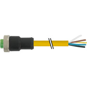 Murrelektronik - Passiver Sensor-/Aktor-Verteiler (mit Leitung) 7/8" mit Ltg. 7700-A5021-U1D1000 − 1 Stück