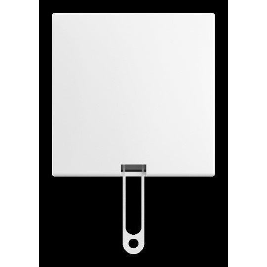 Busch-Jaeger - Installationsschalter Zugschalter AP 2610/6 J-524