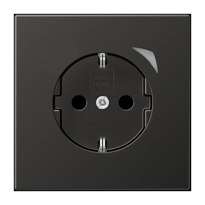 Jung - Steckdose SCHUKO Steckdose 16 A 250V BT AL 1521 S AN-L m. Berührungsschutz
