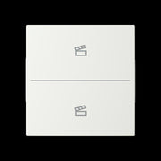 Busch-Jaeger - Bussystem-Tastwippe Abdeckung als Taster LFST/A.2.55.11-914 2f. Symbol Szene