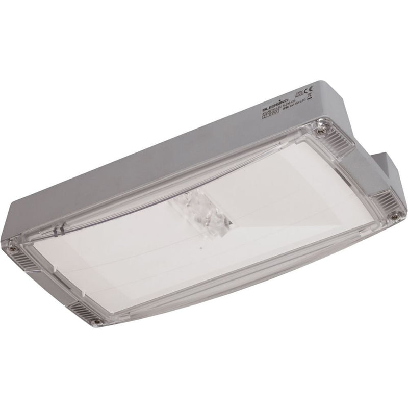 Ceag Notlichtsysteme - Sicherheitsleuchte AtlanticLEDLTRCG-S