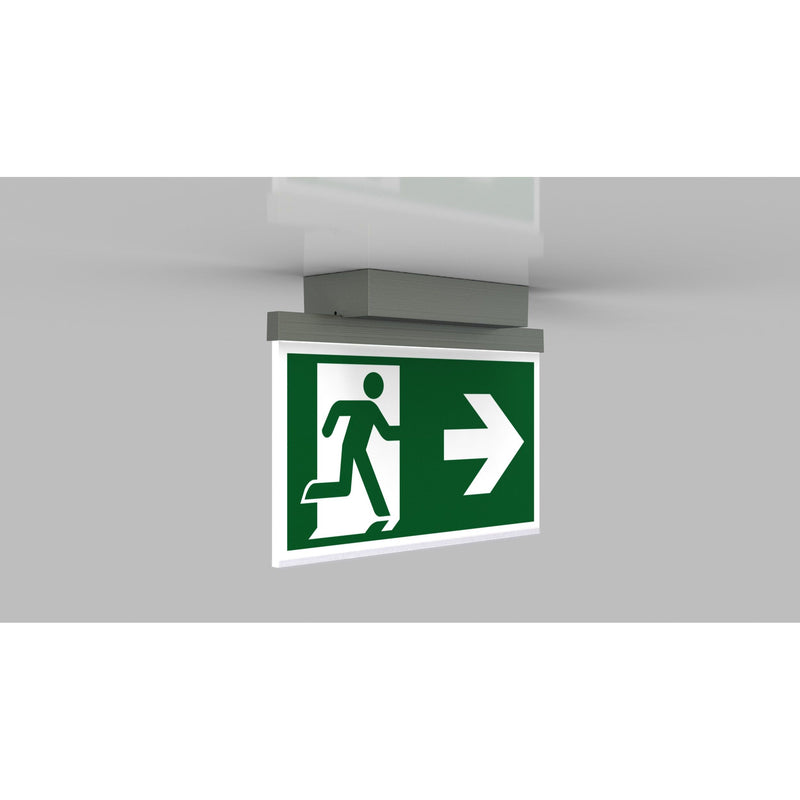 RP-Technik - Sicherheitsleuchte LED-Rettungszeichenleuchte AGD009-E ZB, Edelstahloptik