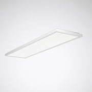 Trilux - Decken-/Wandleuchte LED-Anbauleuchte ArimoFit G2 #8163462 HCL, DALI, silber